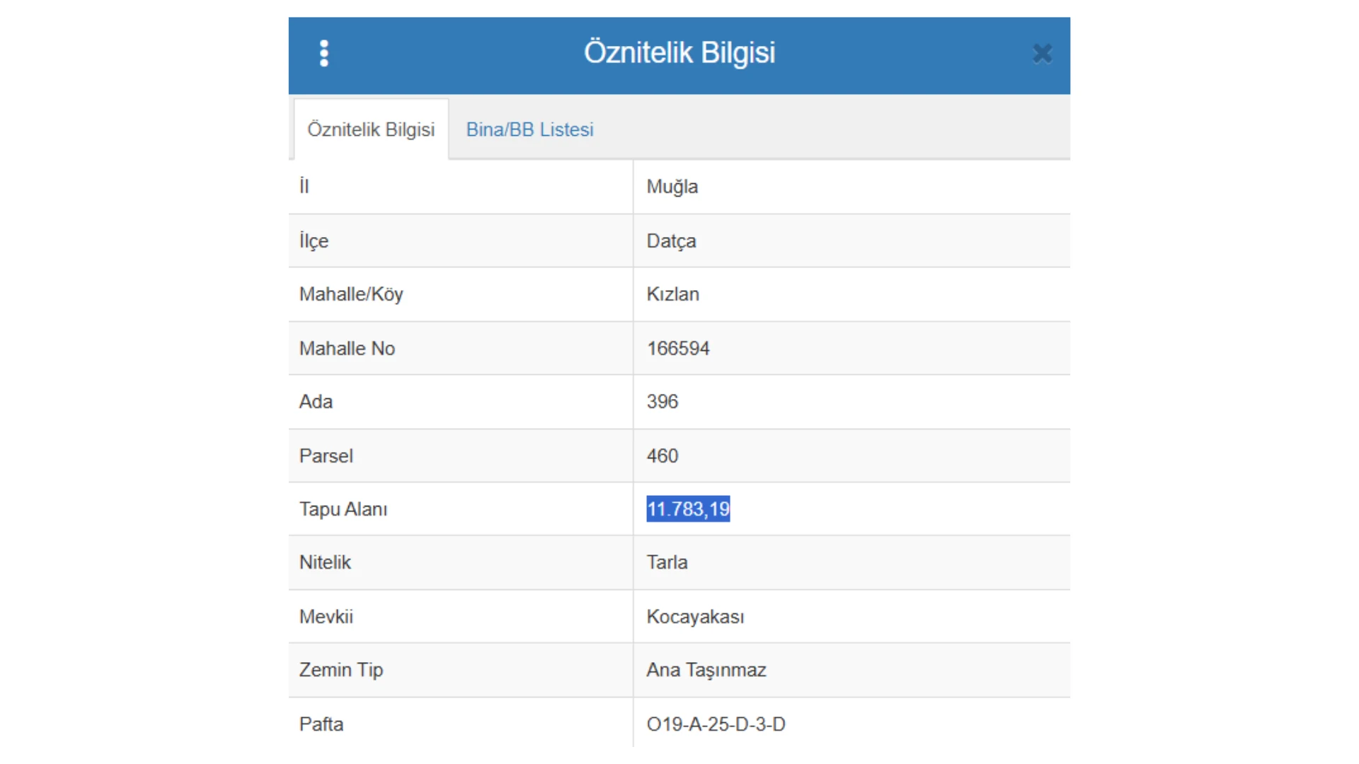 Datça Kızlan Denize Sıfır 11.783 m² 75 m Sahil Cepheli Tarla 1/2 Hisse 8