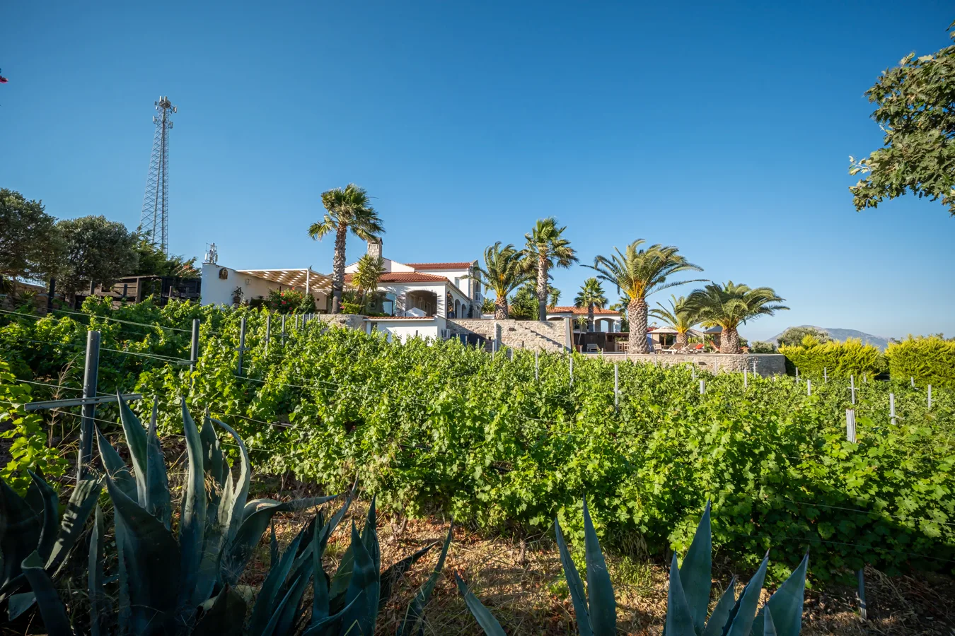 Historisches Herrenhaus im mediterranen Stil mit Hamam in Datça Reşadiye — Villa Buddha 82