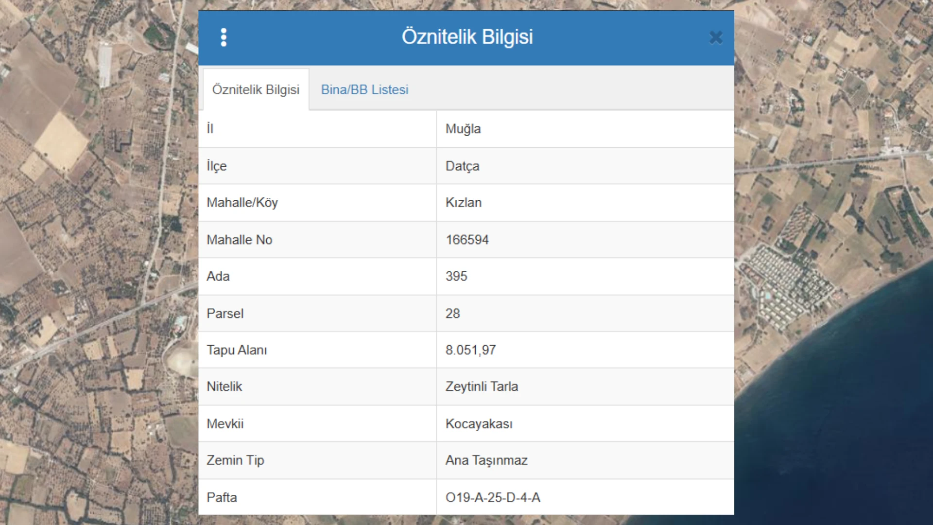 Datça Kızlan'da Ana Yola 85 m, 8.051 m² Tarla 1/2 Hisse 6