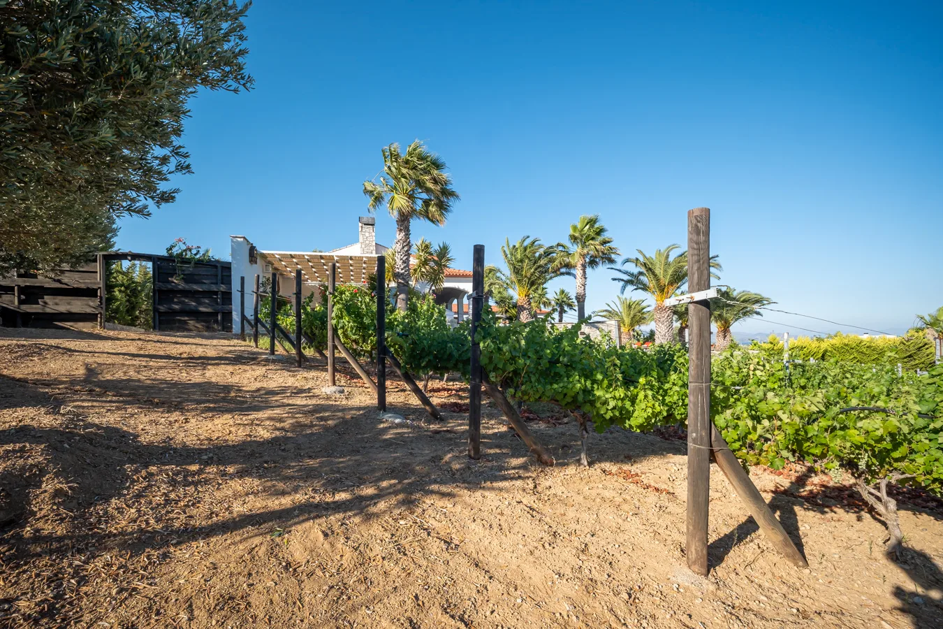 Historisches Herrenhaus im mediterranen Stil mit Hamam in Datça Reşadiye — Villa Buddha 79